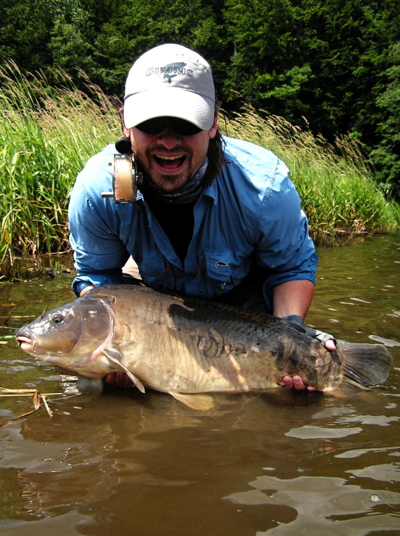 Dinosau�� exempl�� velk�ho �ediv�ho lysce.