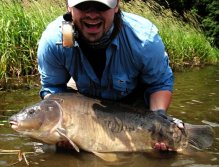 Dinosauří exemplář velkého šedivého lysce.