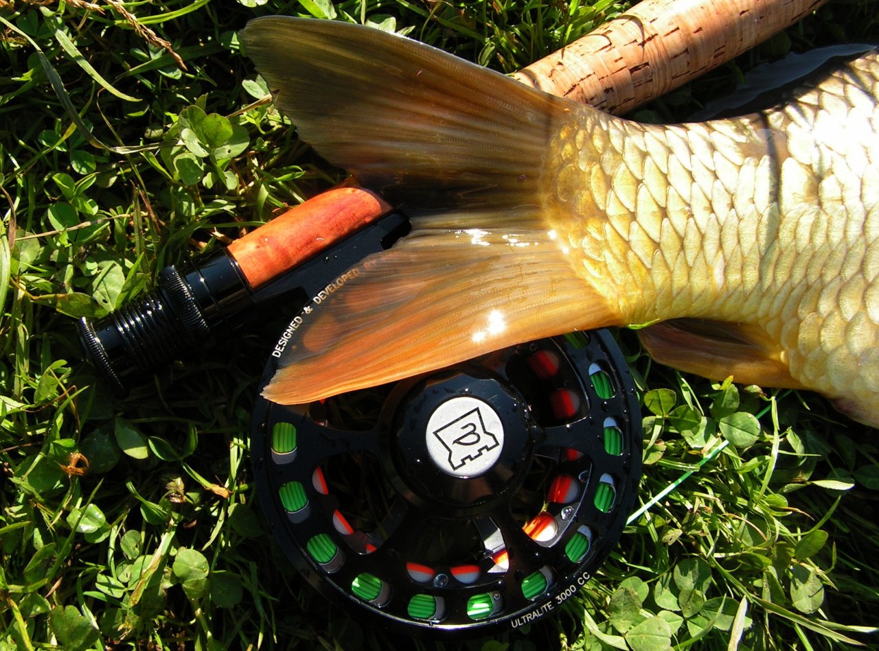 Men�� kapr uloven� na jemn�j�� vybaven�.