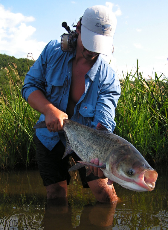 Men�� tolstolobik je urputn�m bojovn�kem, na mu�ku se ale nelov� v�bec snadno!