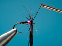 Vzac postup - Hotspot Spider