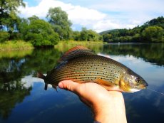 eka San, Polsko - Galerie