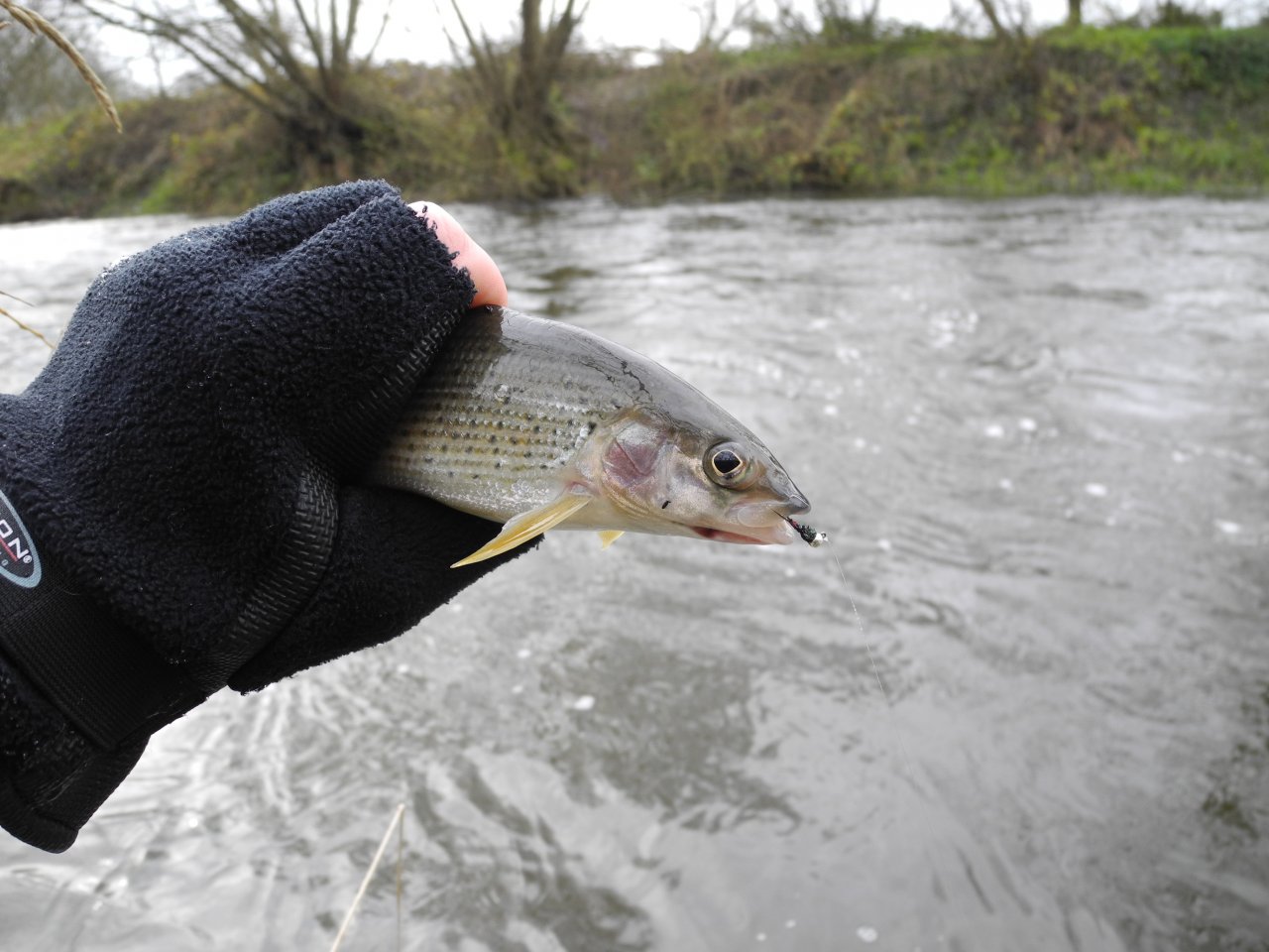 M�e 1 pod Rad�icemi