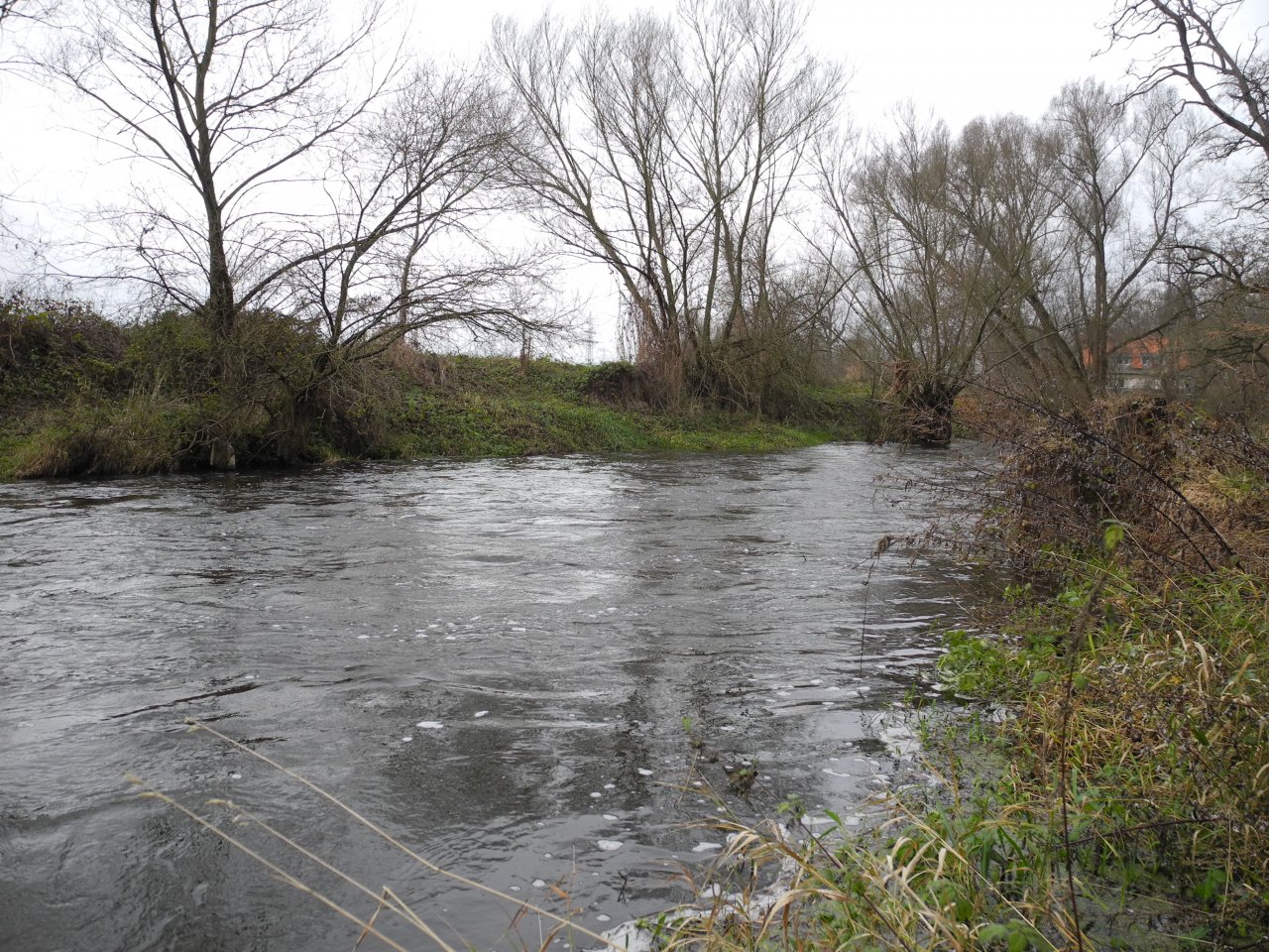 M�e 1 pod Rad�icemi