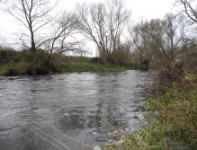 Mže 1 pod Radčicemi