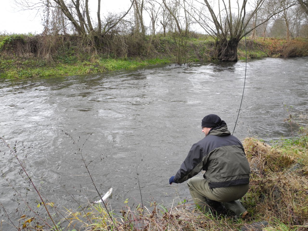 M�e 1 pod Rad�icemi