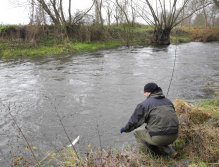 Mže 1 pod Radčicemi