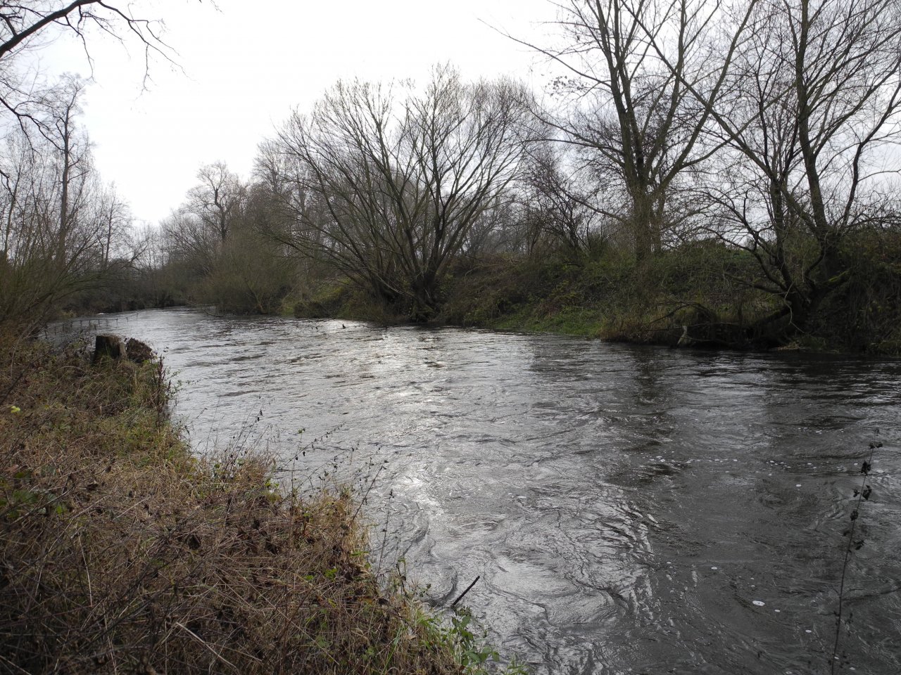 M�e 1 pod Rad�icemi