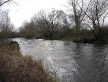 Mže 1 pod Radčicemi