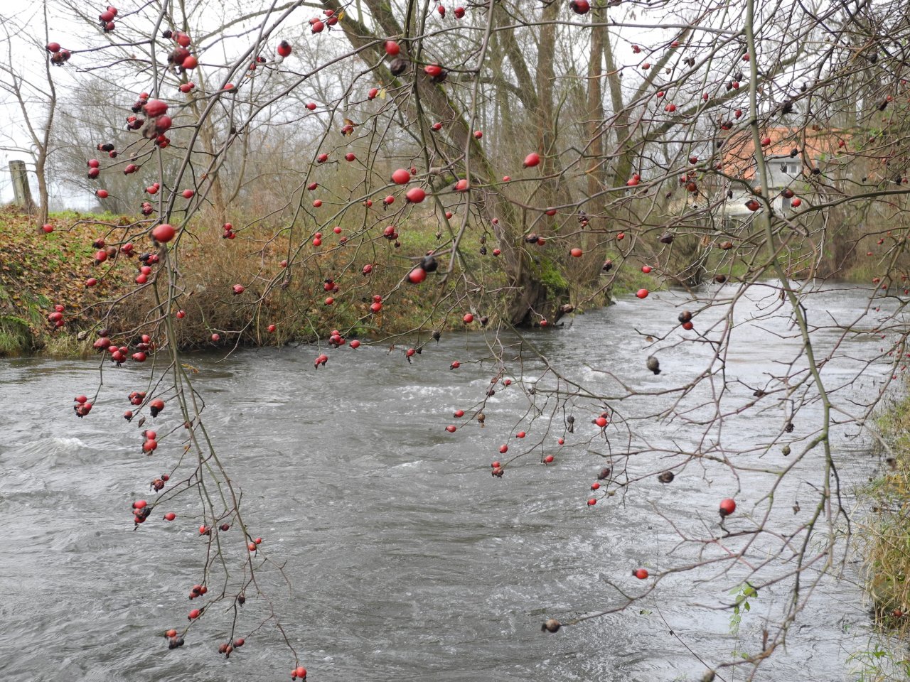 M�e 1 pod Rad�icemi