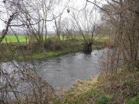 Dernira na trofejnm seku Me 1