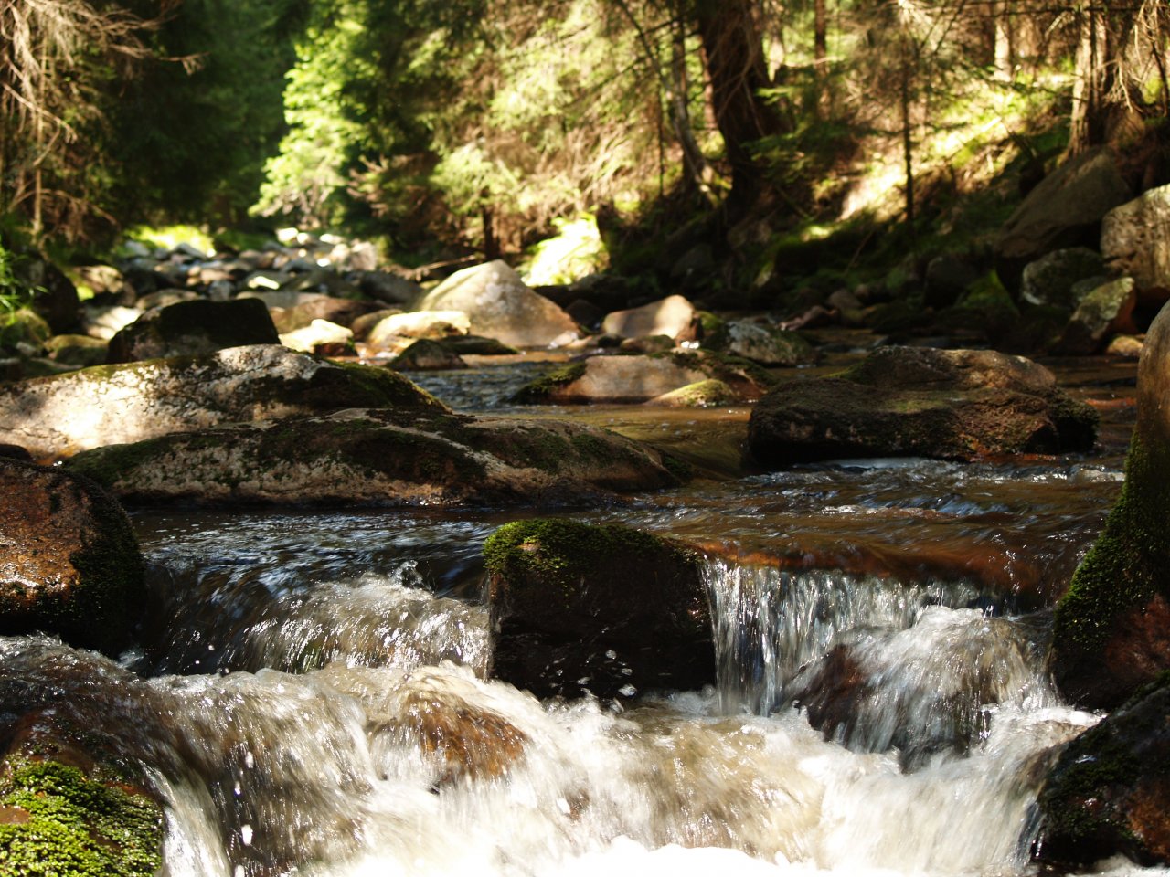 Rolava nad Nov�mi Hamry