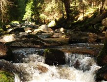 Rolava nad Novými Hamry