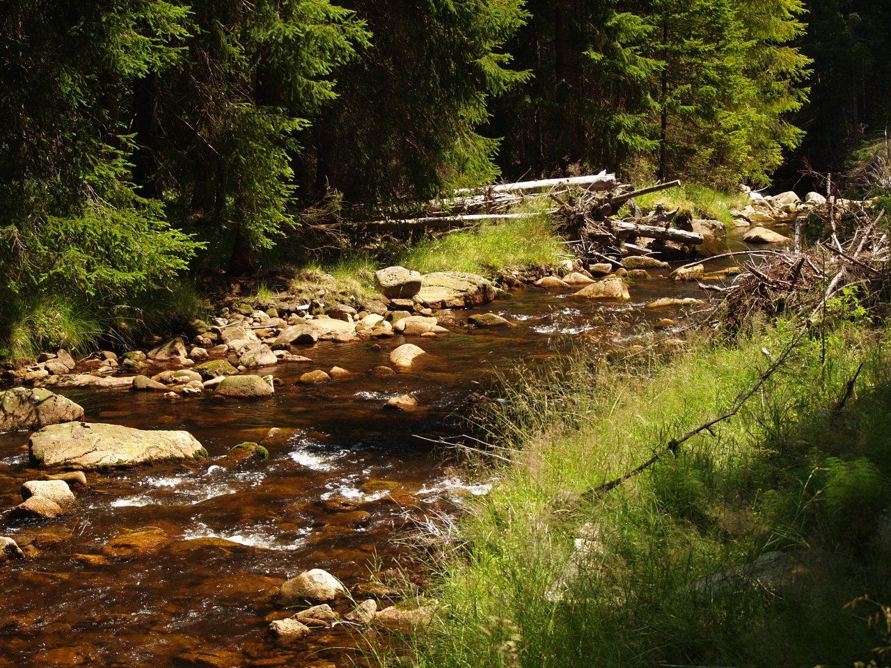 Rolava nad Nov�mi Hamry