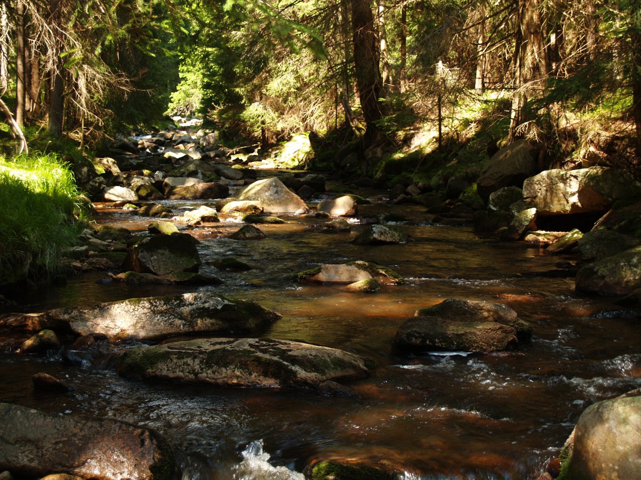 Rolava nad Nov�mi Hamry