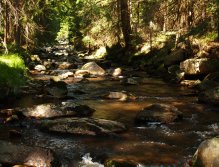 Rolava nad Novými Hamry