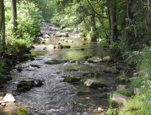 Rolava nad Novými Hamry