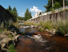 Rolava v Nejdku u polikliniky