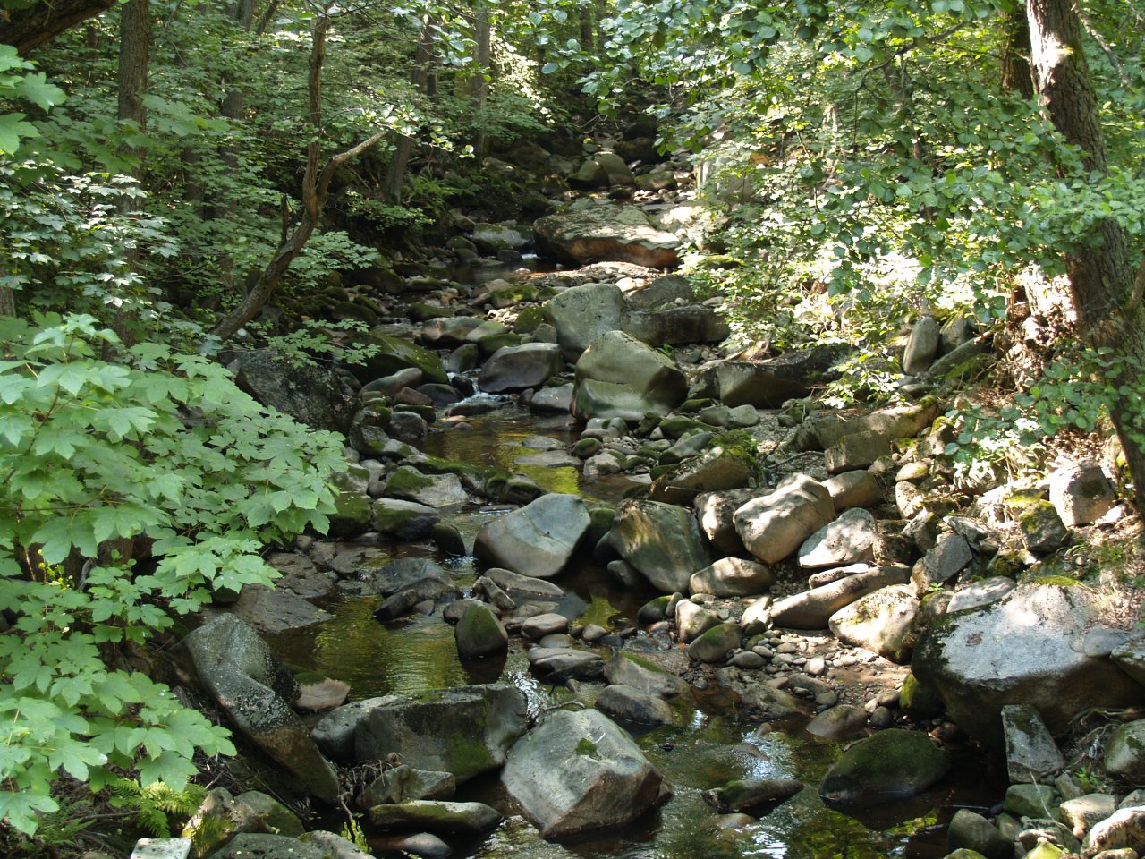 Rolava pod Nejdkem - bez vody