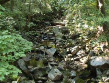 Rolava pod Nejdkem - bez vody