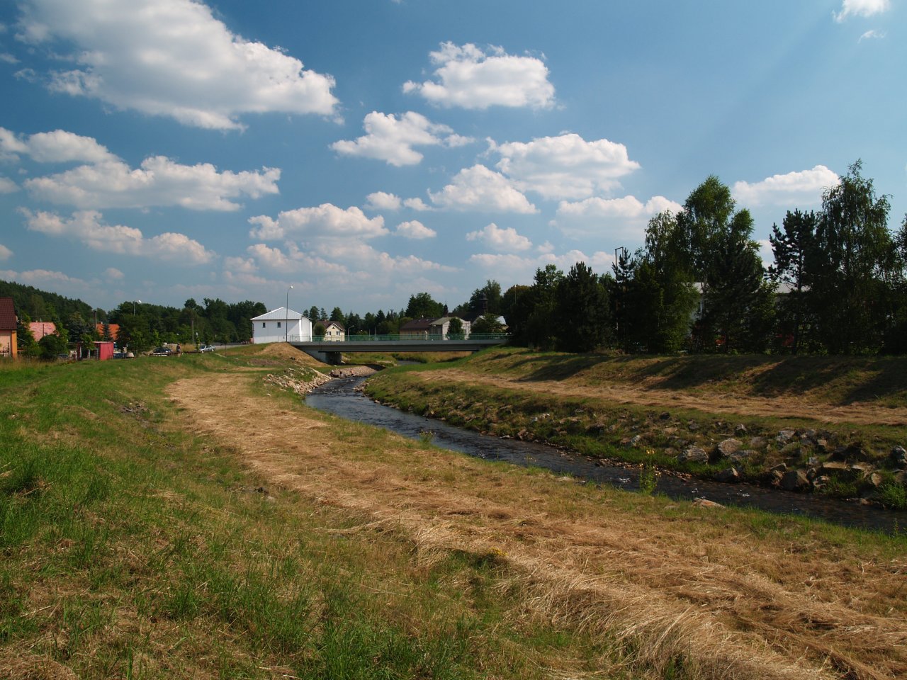 Regulace ve Star� Roli