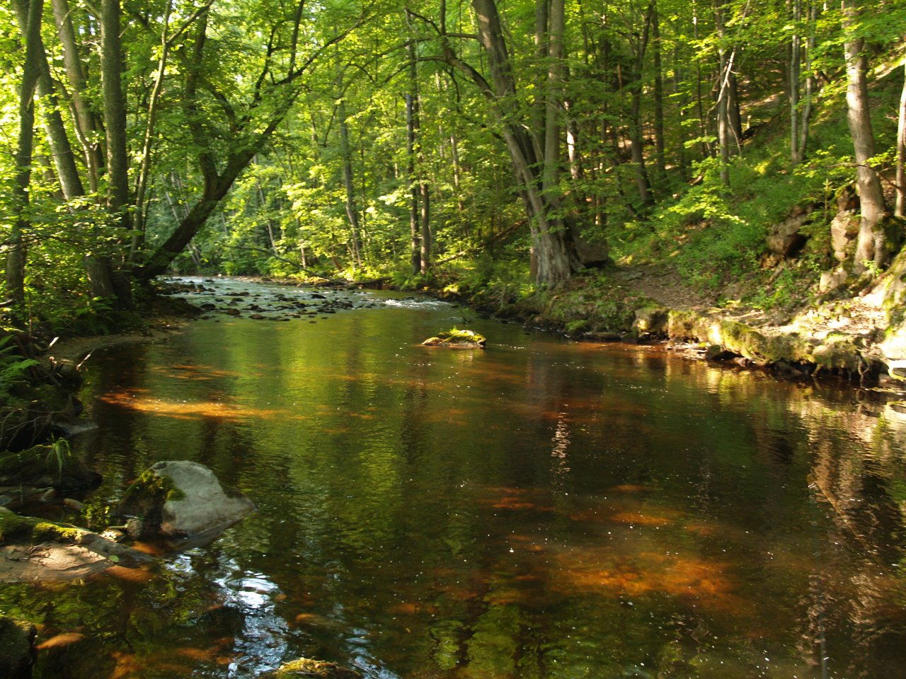 Rolava nad Starou Rol�