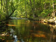 Rolava nad Starou Rolí