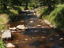 Rolava v Nových Hamrech