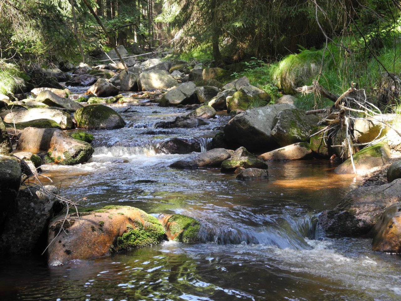 Rolava nad Nov�mi Hamry