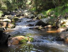 Rolava nad Novými Hamry