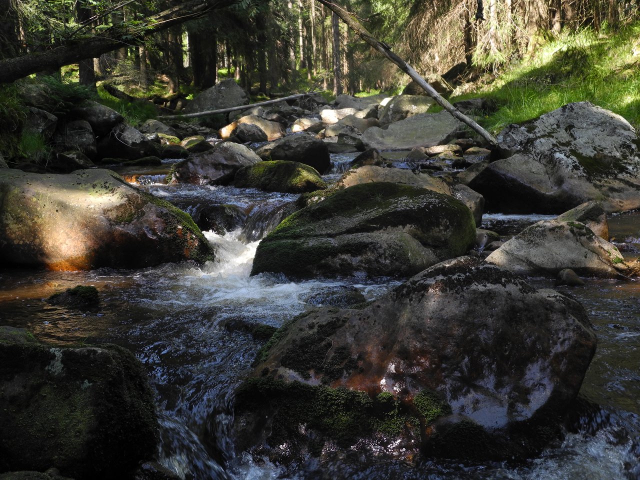 Rolava nad Nov�mi Hamry