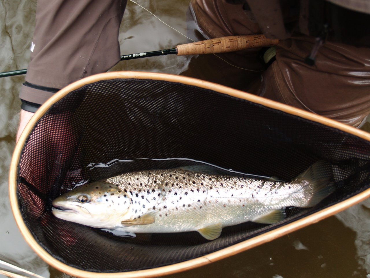 Poto��k v detailu