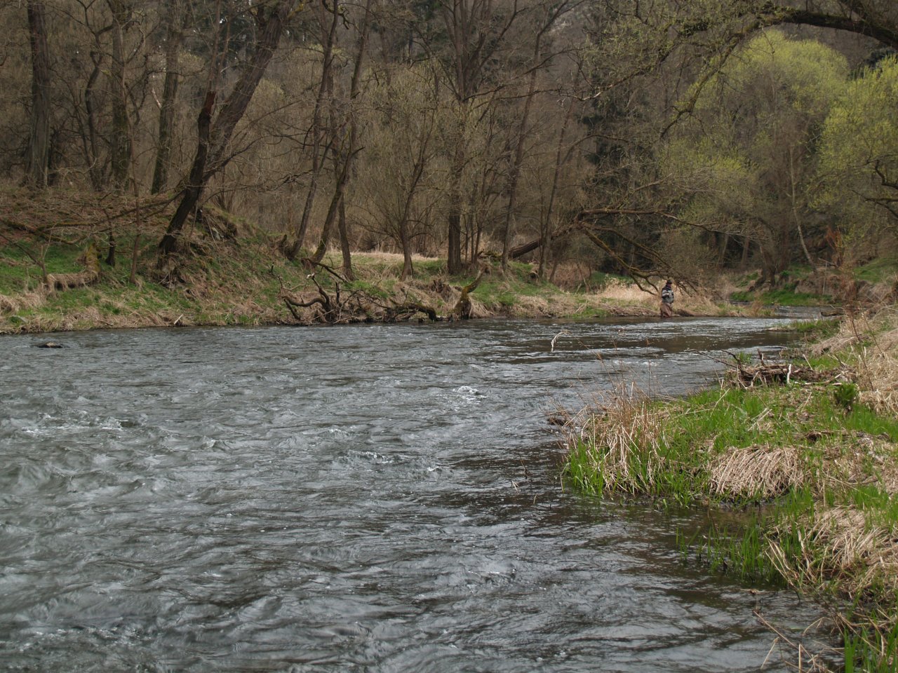 St�ela nad Piplov�m ml�nem