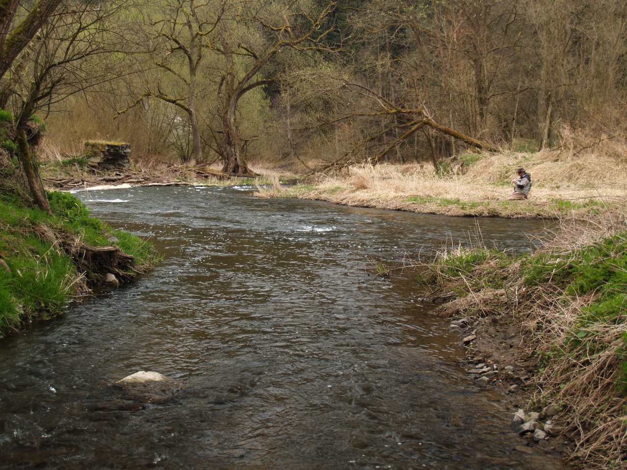 Kralovick� potok �st�c� do St�ely