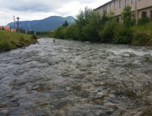 Muškaření na Revúce