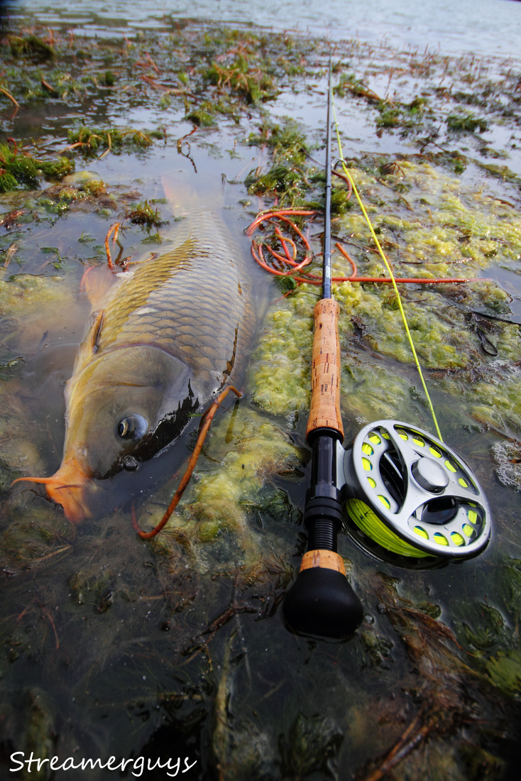 Odpo�inek spojen� s p�zov�n�m pro fotku