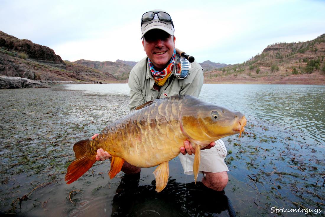 Javier�v c�l... Proj�d�j�c� kapr neodolal jeho hladinov� n�straze