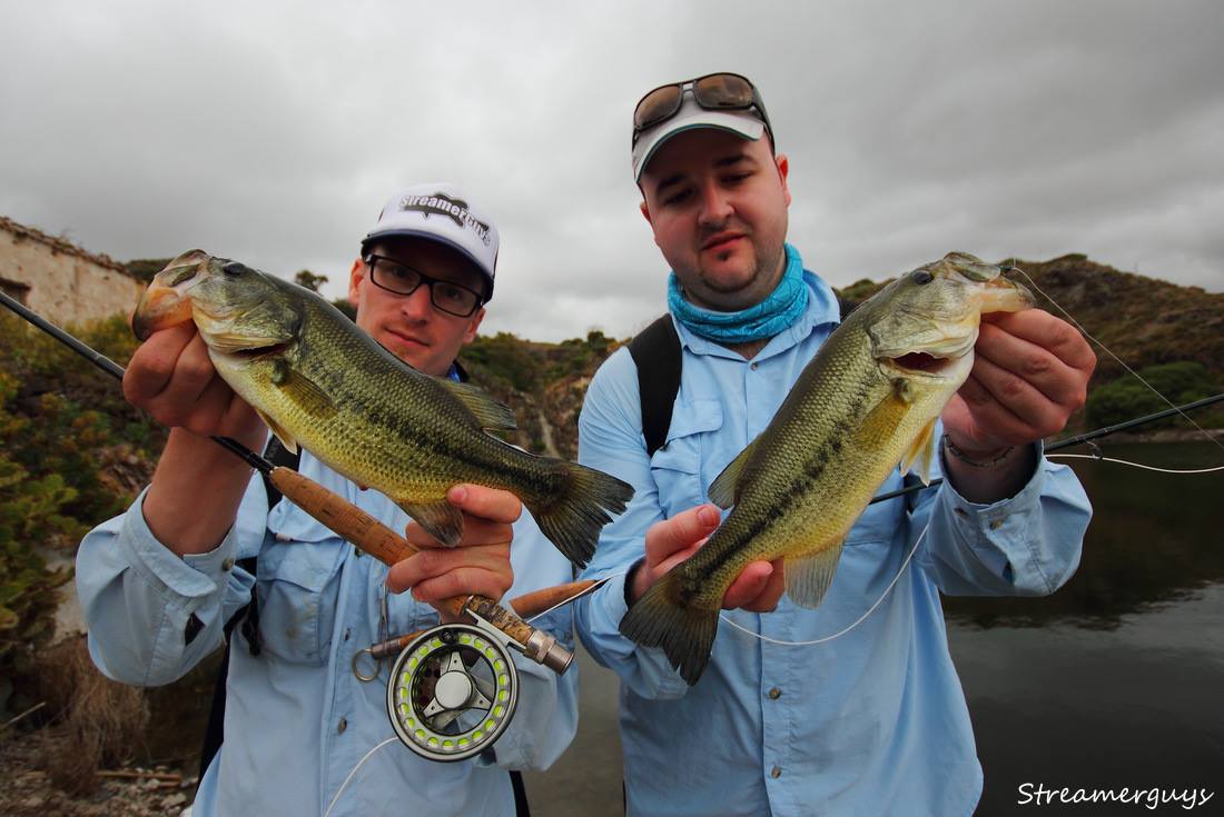 Dvojit� �lovek p�kn�ch Bass�