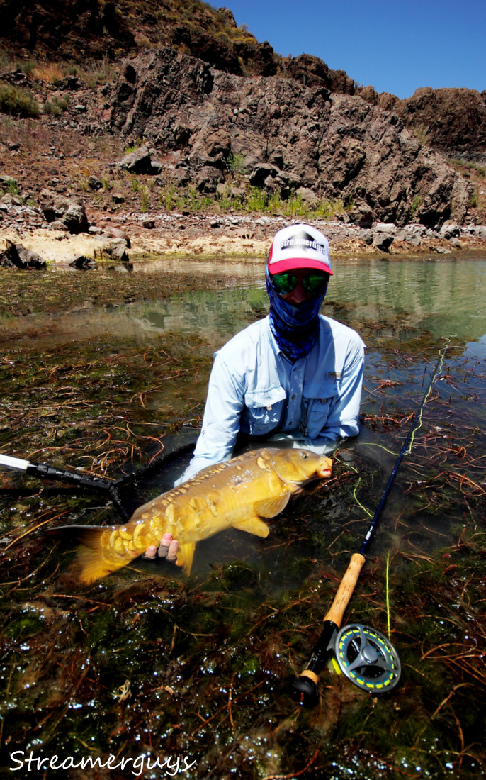 Ji�� se sv�m zla��kem