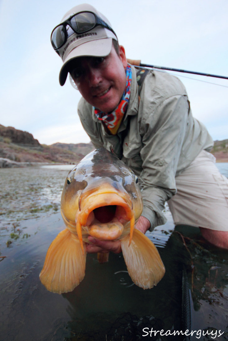 S takov�mi ploutvemi tamn� kapr dok�e zabrat!