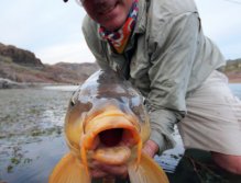 S takovými ploutvemi tamní kapr dokáže zabrat!