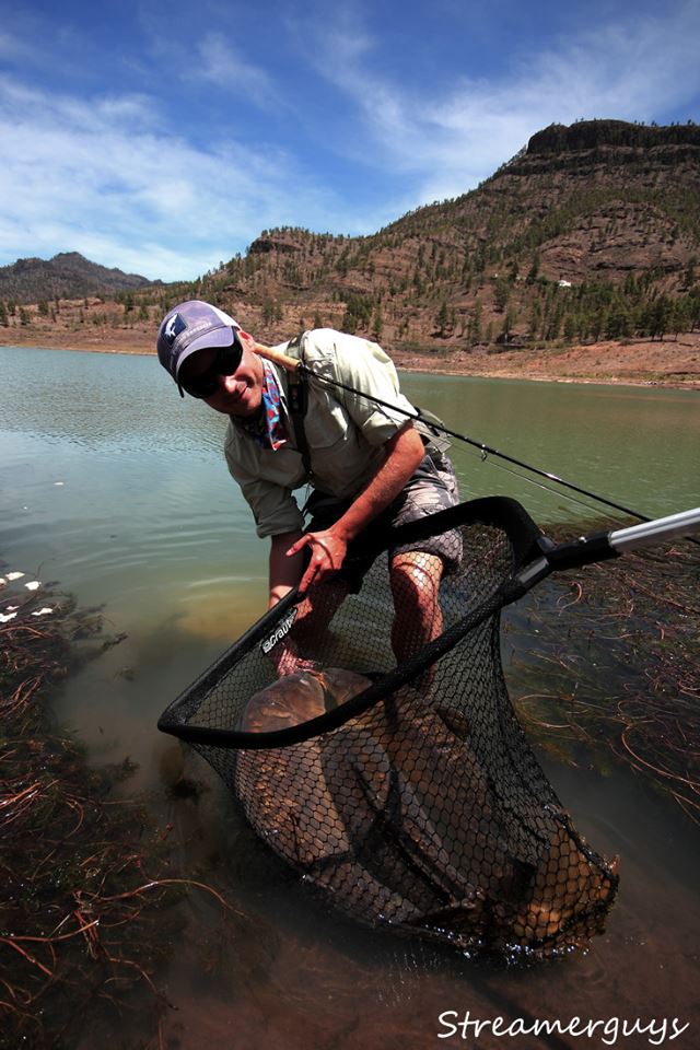 Spole�n� �lovek t�� kr�sn�ch lysc�