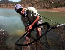 Společný úlovek tří krásných lysců