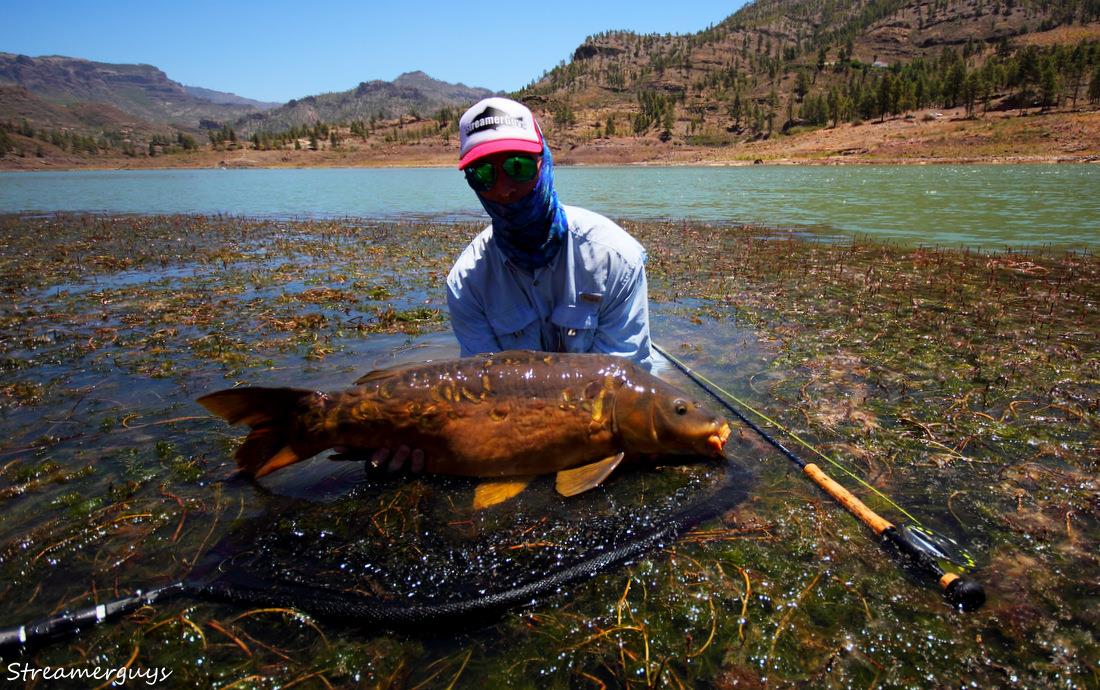 N�dhern� a velice bojovn� lysec