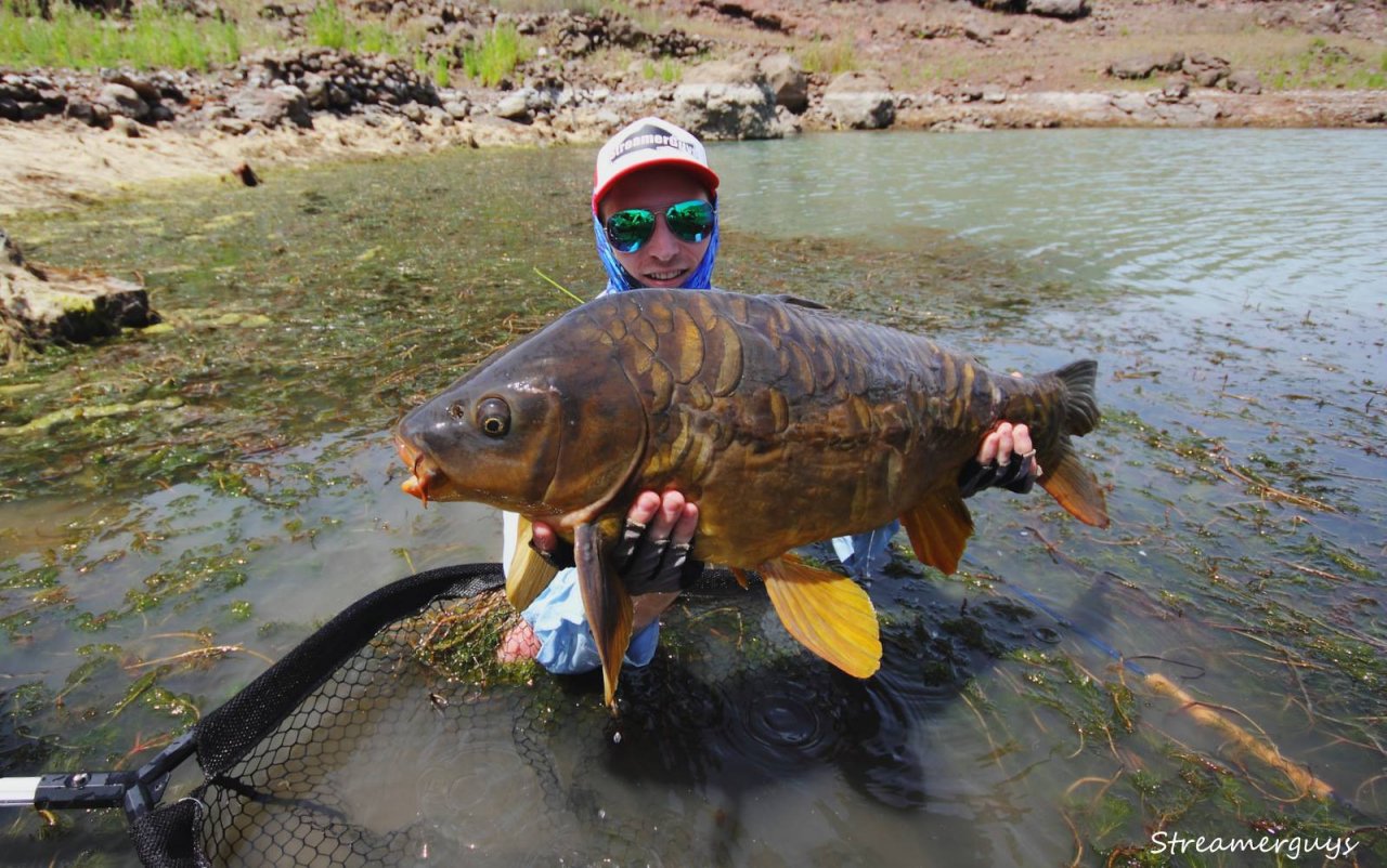 Prehistorick� kapr