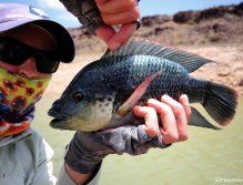 Kdo pozná druh této nádherně vybarvené ryby?