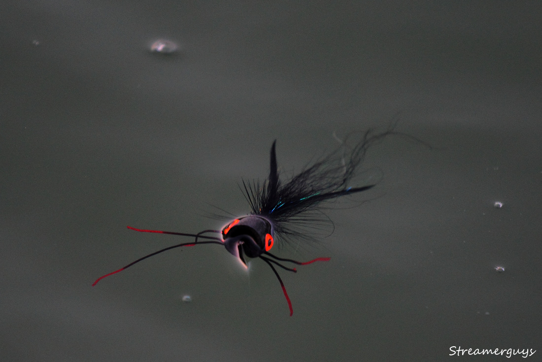 P�est�vka p�ed �tokem