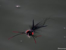 Přestávka před útokem