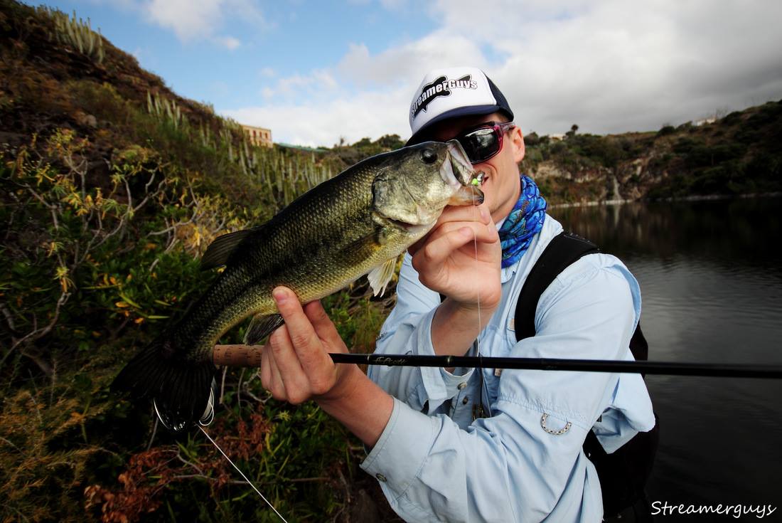 Chytat bojovn� Blackbassy je velk� z�bava