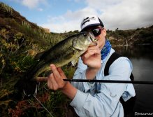 Chytat bojovné Blackbassy je velká zábava